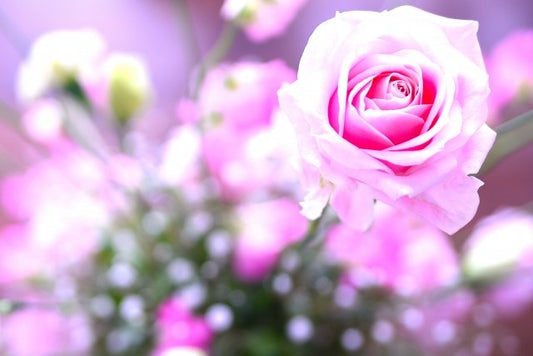 婚姻届の提出日と結婚式を挙げた日どちらが「結婚記念日」?