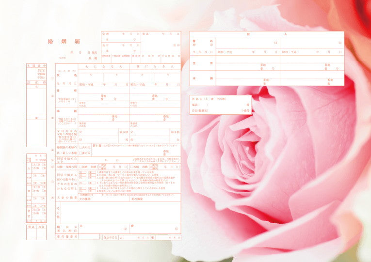 婚姻届 Pink Rose