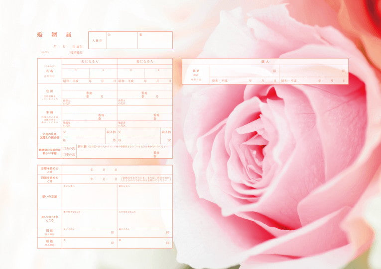 婚姻届 Pink Rose