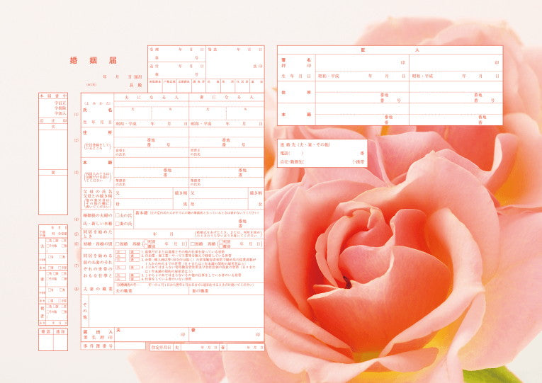 婚姻届 Peach Rose