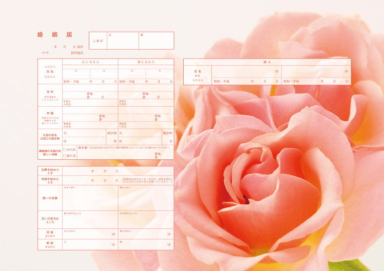 婚姻届 Peach Rose