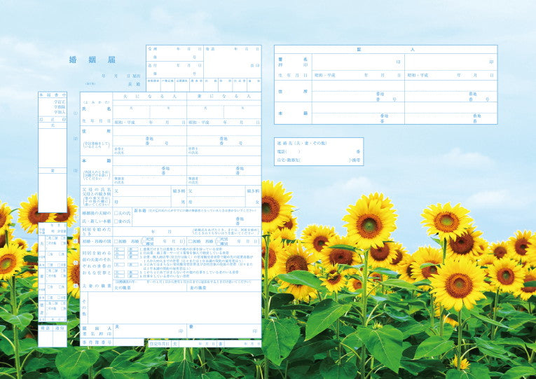 婚姻届 Sunflower Sky