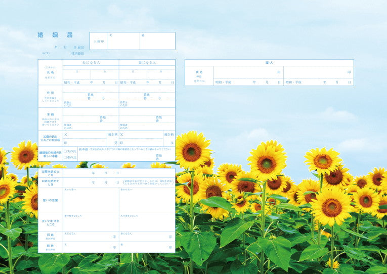 婚姻届 Sunflower Sky