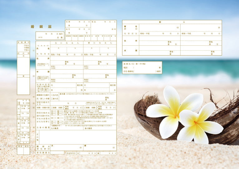 婚姻届 Plumeria Twins