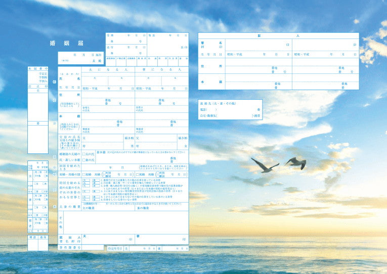 婚姻届 Sky Journey