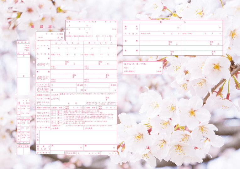 婚姻届 Spring Memories