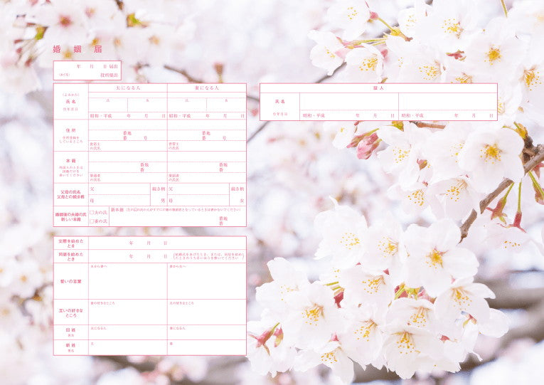 婚姻届 Spring Memories
