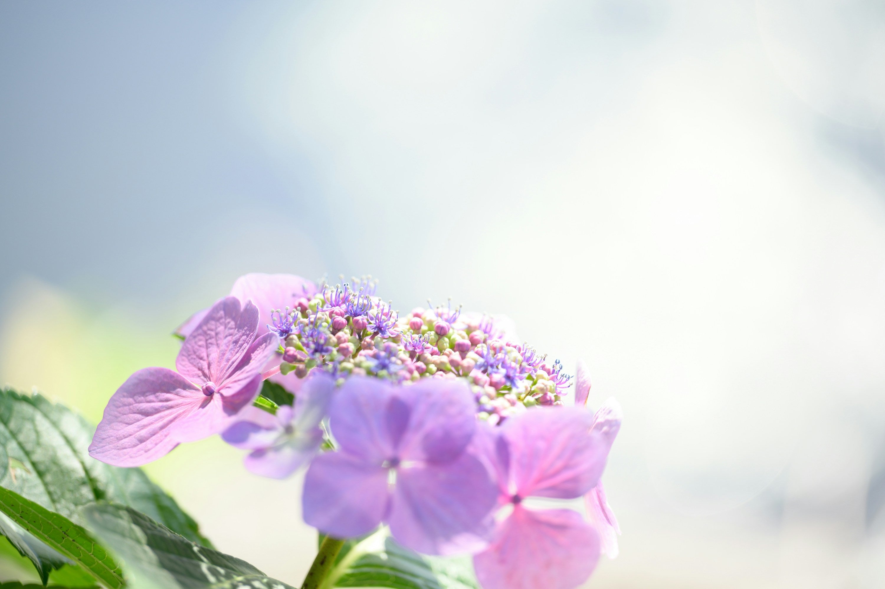 準備はしっかりと