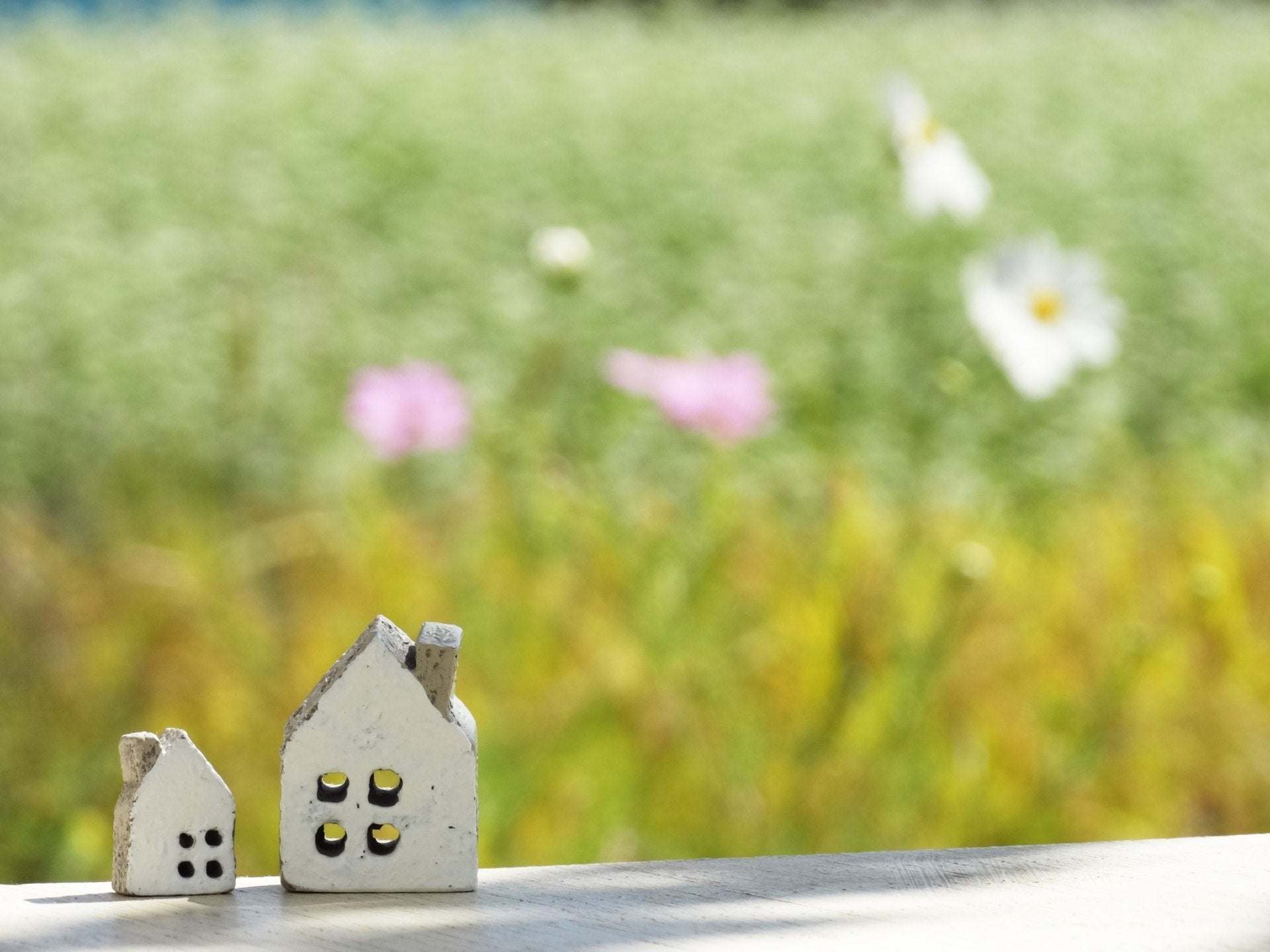 彼女との同棲前に婚姻届は提出すべき？