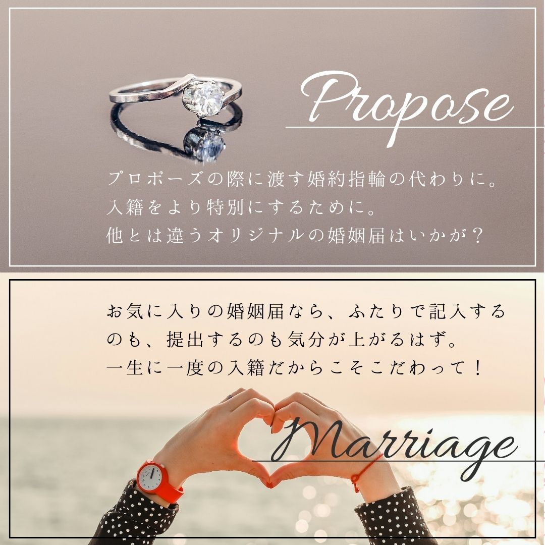 婚姻届 シナモロール（くすみギンガム）