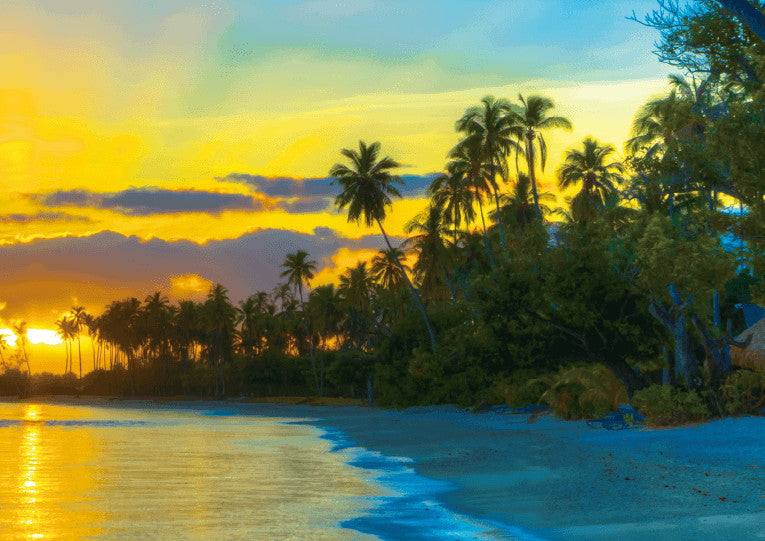 婚姻届 Sunset Dream