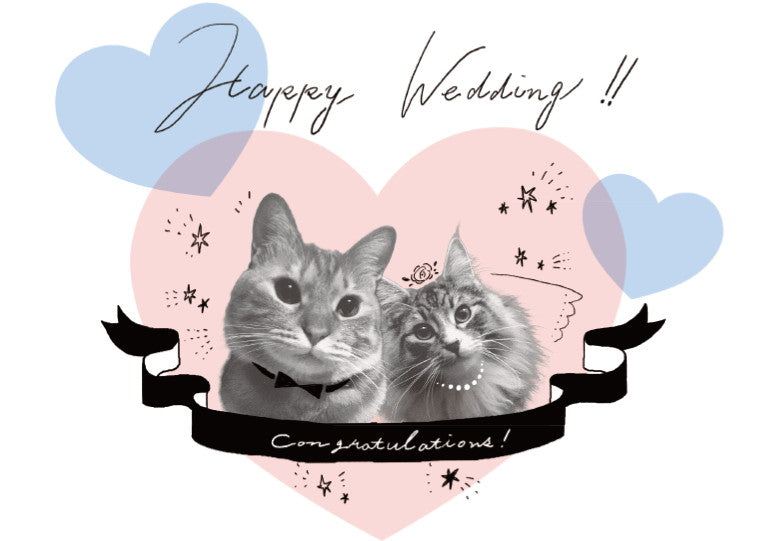 婚姻届 Cats Wedding