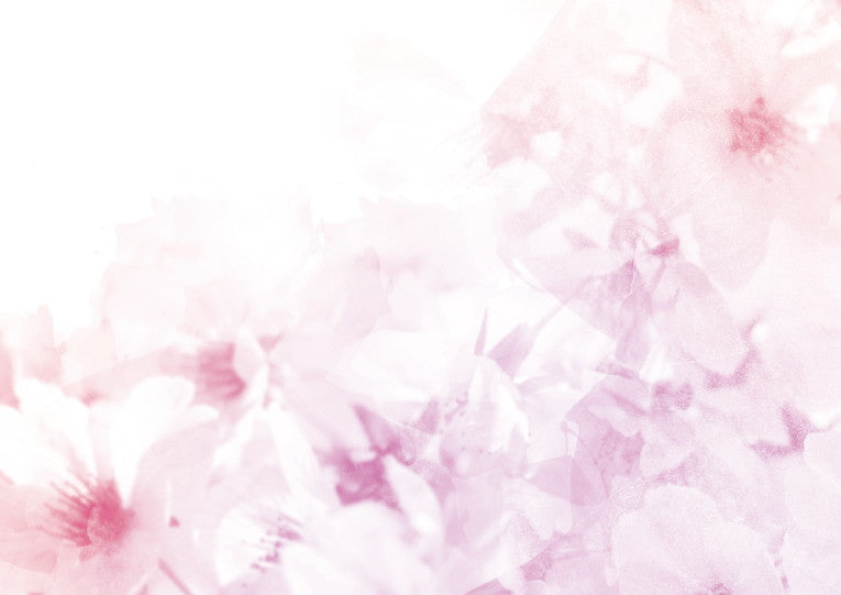 婚姻届 Sakura Gradation