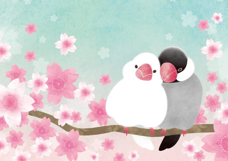 婚姻届 SAKURA文鳥