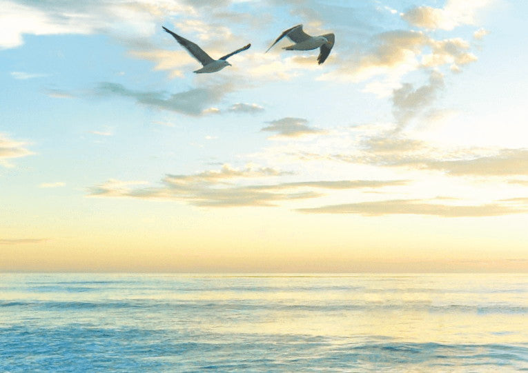 婚姻届 Sky Journey